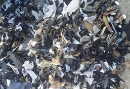 廢舊布料破碎機(jī)