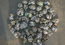 易拉罐撕碎機 易拉罐撕碎機