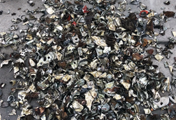 濾油器撕碎機(jī)