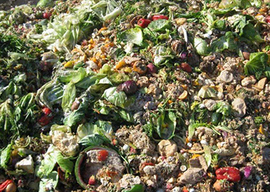 餐廚垃圾前端篩分 餐廚垃圾前端篩分