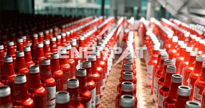 啤酒瓶撕碎機 啤酒瓶撕碎機