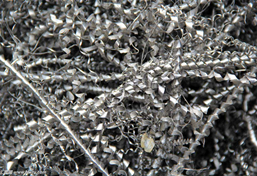 金屬屑破碎機 金屬屑破碎機